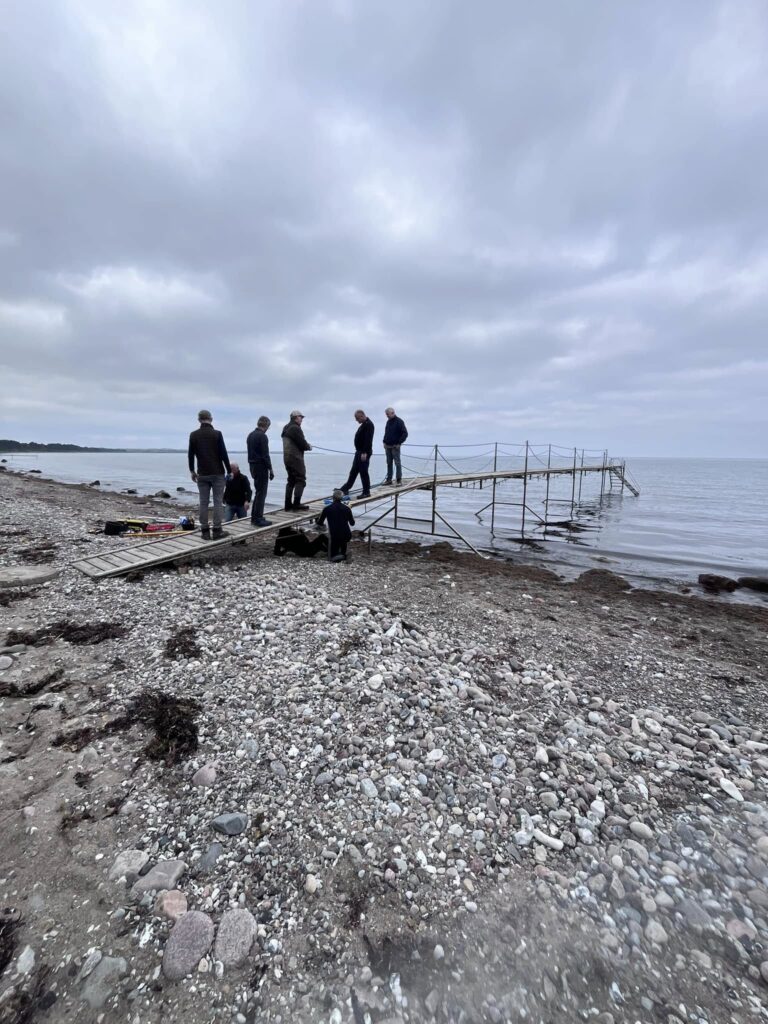 badebro og strand